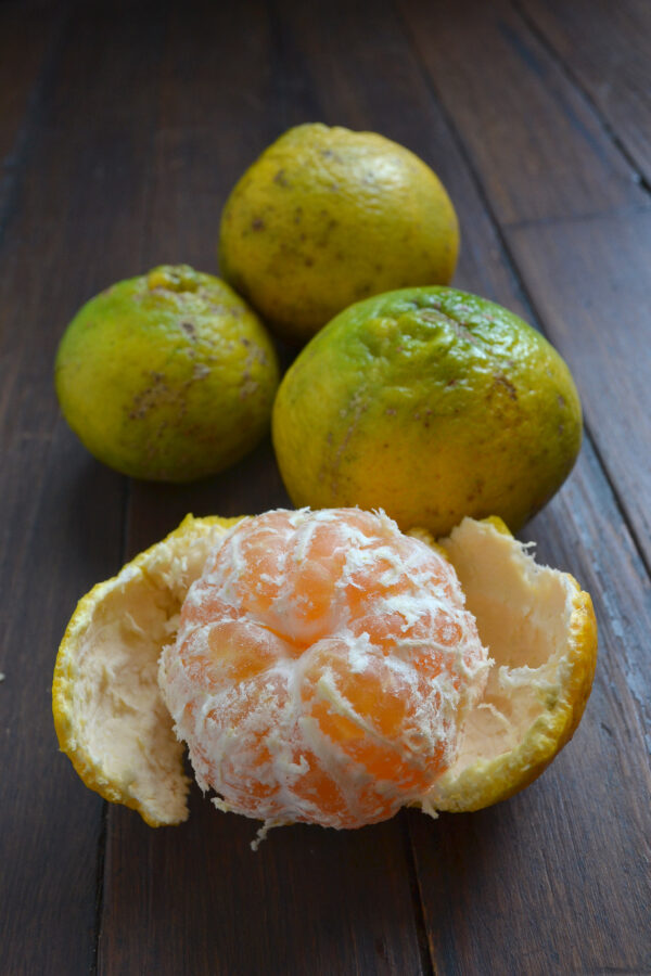 Mandarina x 1 kilo - Imagen 2