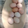 Huevos de gallinas caminadoras x MEDIA DOCENA "Iriarte Verde"