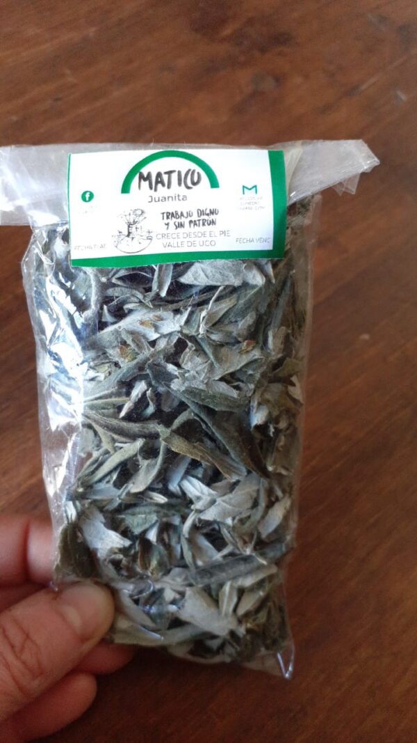 Matico x 10 grs.