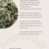 Anacahuita (caja chica)