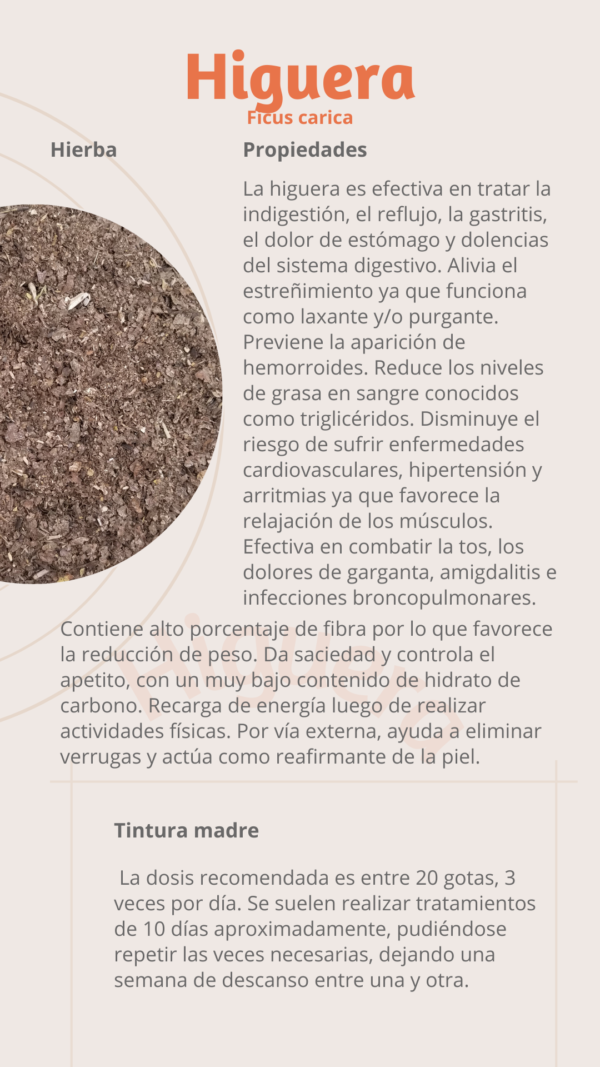 Higuera (caja chica)