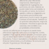 Menta (caja chica)