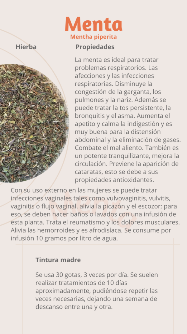 Menta (caja grande)