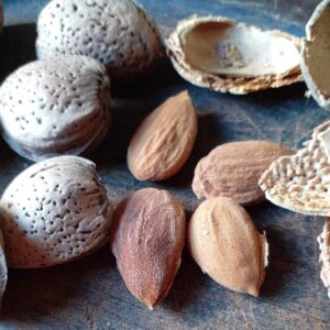 Almendras peladas x 100 grs.