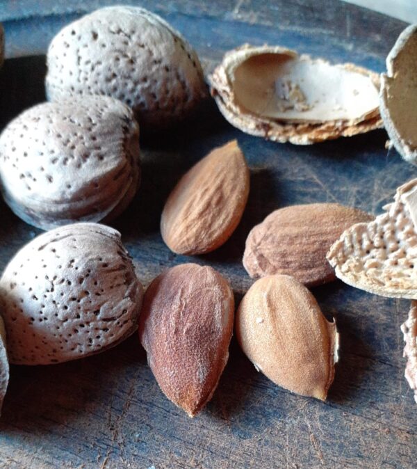 Almendras peladas x 100 grs.