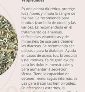 Ortiga (caja grande)