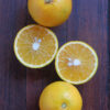 Naranja de jugo x 1 kilo
