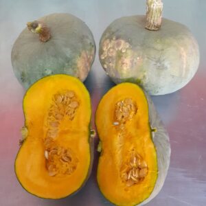 Zapallo caboutier "cuero liso" x 1 kilo