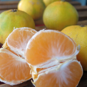 Mandarina x 500 grs.