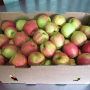 Manzana roja x caja de 18 kilos